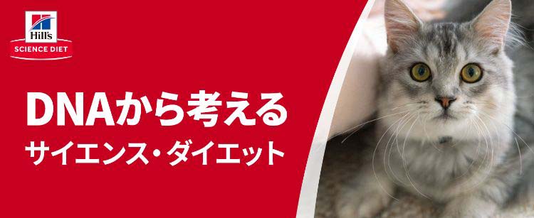 キャットフード 避妊 去勢後 猫用 1〜6歳 チキン 成猫 お試し ドライ