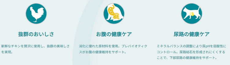 ピュリナワンキャット 美味を求める成猫用1歳以上チキン ( 4袋入×6
