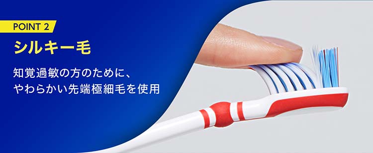 シュミテクト 歯周ダブルケアEXハブラシ コンパクト ふつう ( 144本