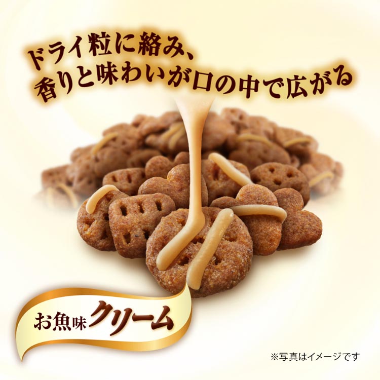 銀のスプーン ドライ 三ツ星グルメ お魚味クリーム ほたて味