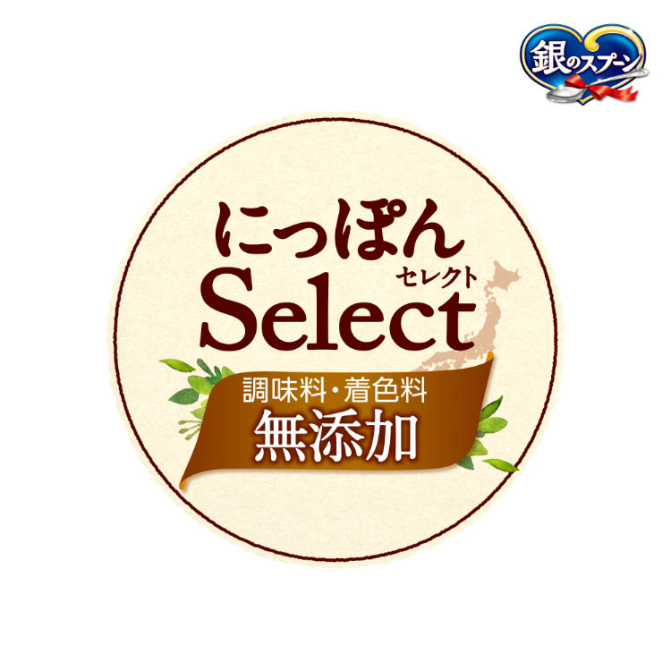 銀のスプーン７袋おまけつき 銀のスプーン7袋おまけつき 銀のスプーン 贅沢素材バラエティ