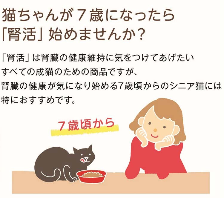 祝開店！大放出セール開催中 国産 とろみ 腎活 ４０ｇ まぐろフレーク アイシア 国産健康缶パウチ キャットフード