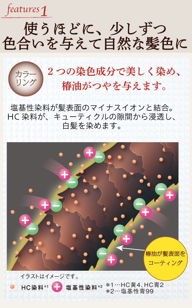大島椿 ヘアカラートリートメント ダークブラウン ( 180g*3本
