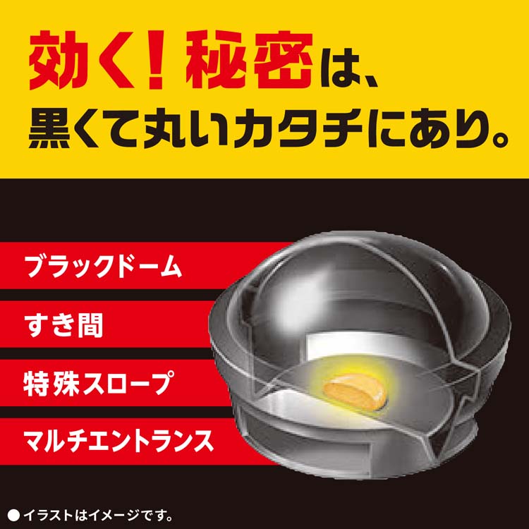 ブラックキャップ ゴキブリ駆除剤 置き型 殺虫剤 毒餌剤 ( 12個入*20箱