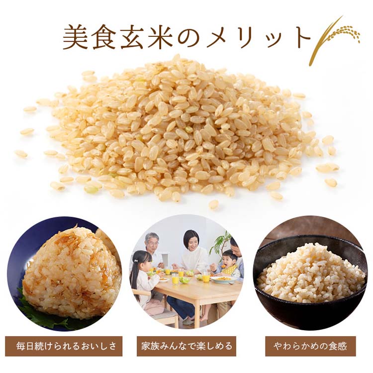 美食玄米 ( 900g*3袋セット )/ ミツハシライス 米 900g 玄米 岩手