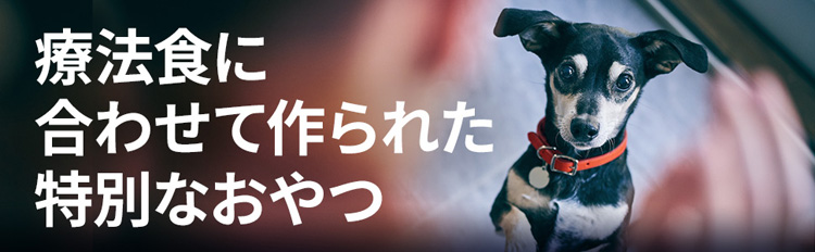 低アレルゲン トリーツ 犬用 療法食 ドッグフード ドライ おやつ