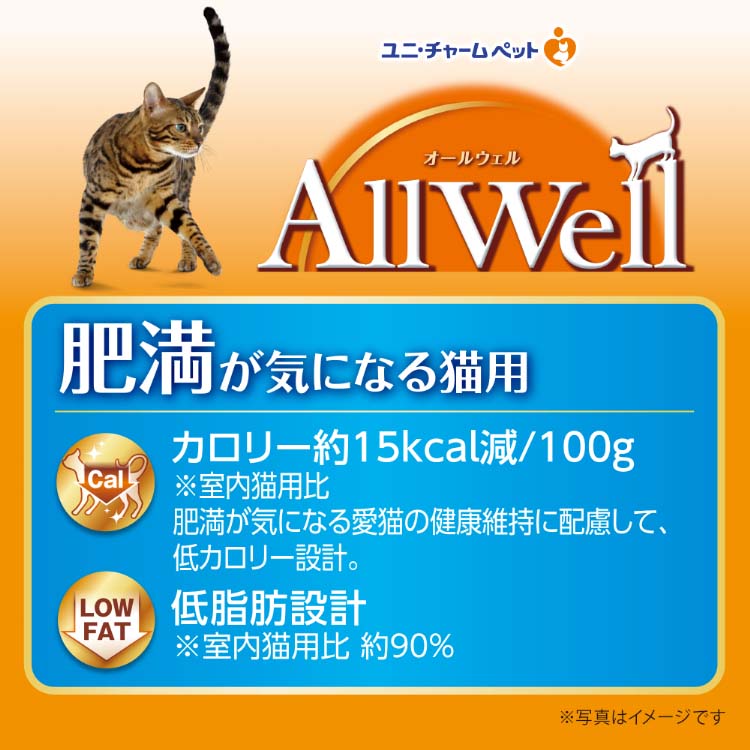 全国組立設置無料 上甲ストアAllwell 子猫用 フィッシュ味800g