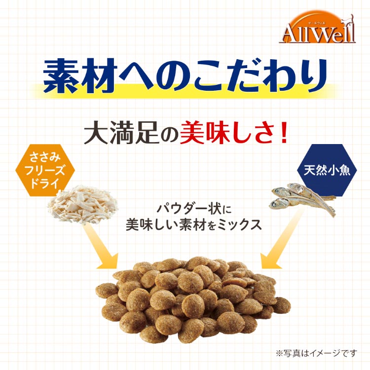 オールウェル(AllWell) キャットフード 室内猫用 フィッシュ味 ( 5袋入