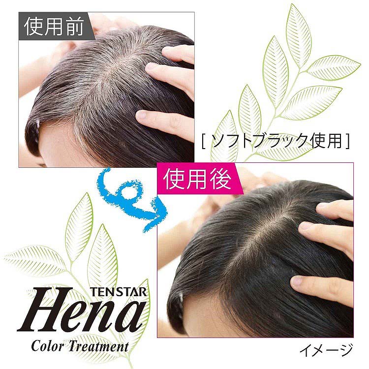 テンスター ヘナ カラートリートメント ダークグレージュ ( 250g