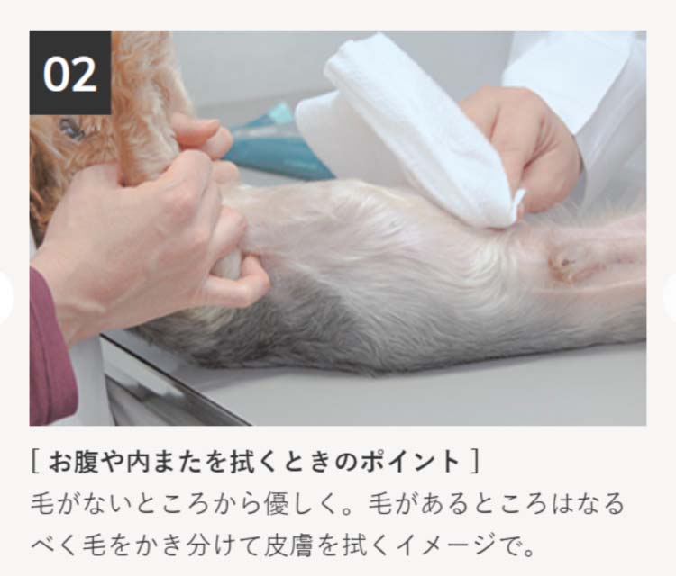 スキンクオール1束（24枚）×6束 スキンクオール ( 24枚入×6セット ) : 爽快ドラッグ - 通販