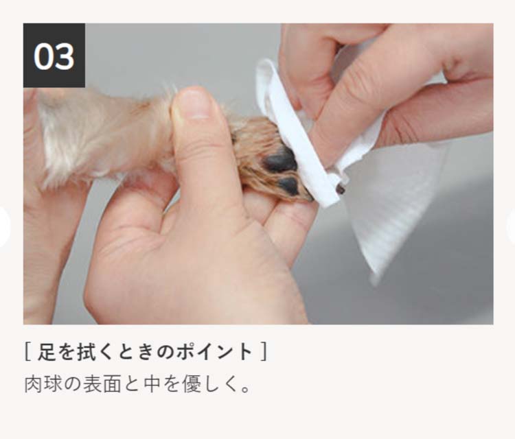 スキンクオール1束（24枚）×6束 スキンクオール ( 24枚入×6セット ) : 爽快ドラッグ - 通販