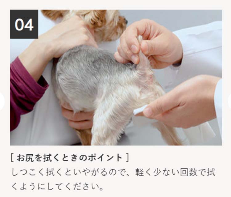 スキンクオール ( 24枚入×6セット ) : 爽快ドラッグ - 通販