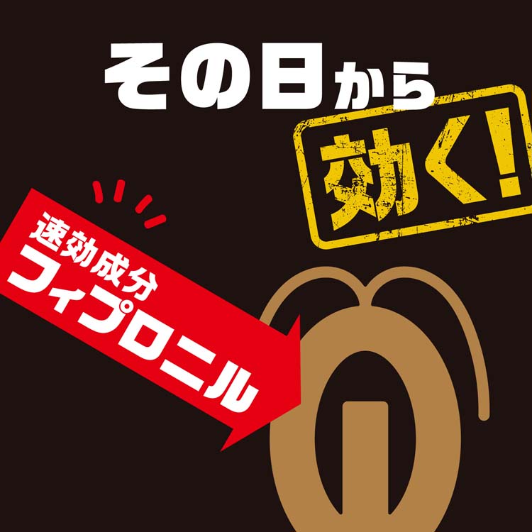 アース ブラックキャップ 屋外用 ゴキブリ駆除剤 置き型 毒餌剤 アース ブラックキャップ 屋外用 ゴキブリ駆除剤 置き型 毒餌剤