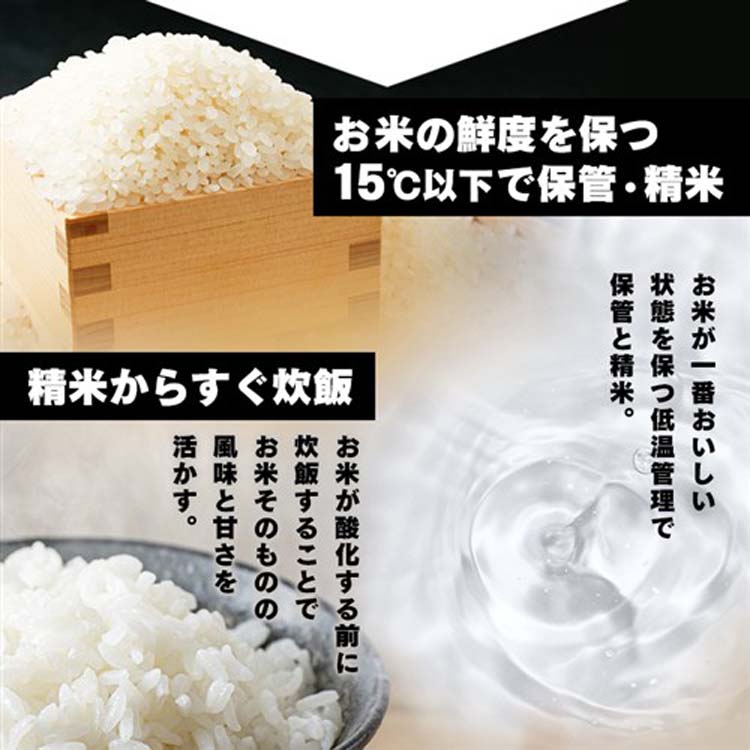 低温製法米のおいしいごはん ( 8袋セット×2セット(1食180g) ) パック