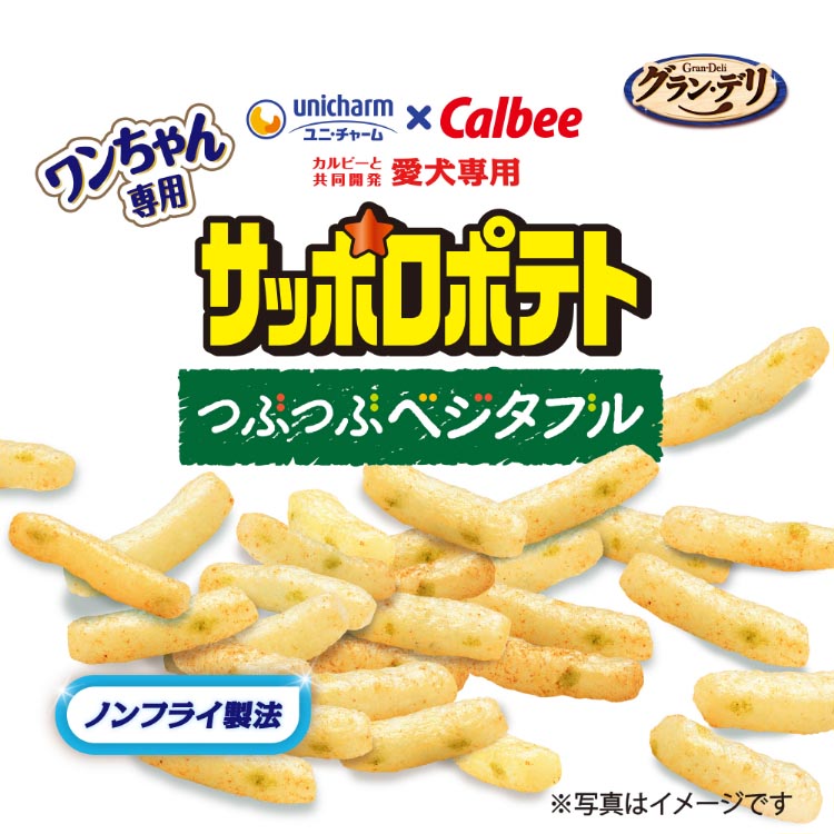 ちゃんてげ様用 サボットプル グラン・デリ ワンちゃん専用 サッポロポテト つぶつぶベジタブル 犬用