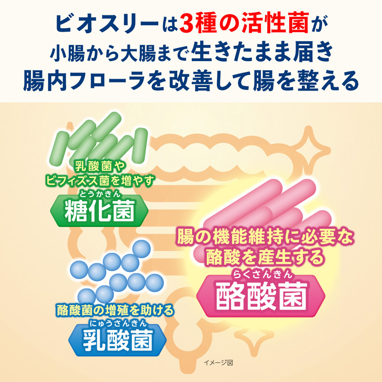 ビオスリー Hi錠 ( 180錠×4セット ) : 爽快ドラッグ - 通販 - Yahoo 