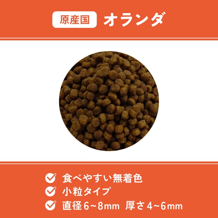 ベッツウェル 猫用食事療法食 下部尿路ケア 低脂肪 ( 500g×6セット