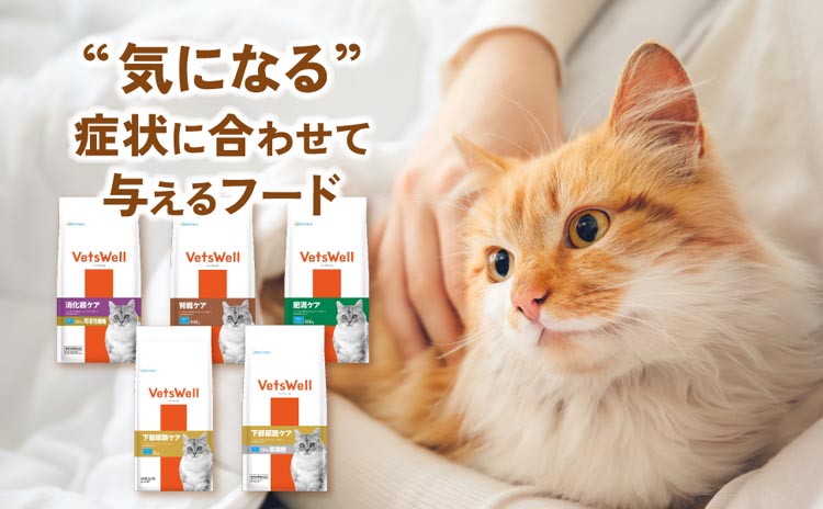 ベッツウェル 猫用食事療法食 下部尿路ケア 低脂肪 ( 500g×6セット