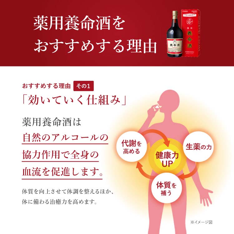 第2類医薬品)薬用養命酒 ( 1L×2セット )/ 養命酒 : 爽快ドラッグ