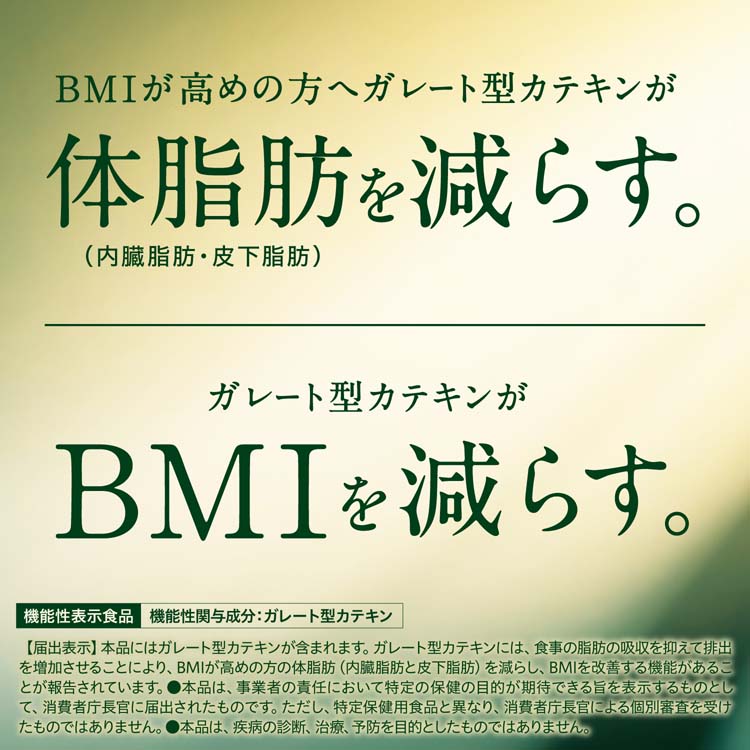 伊藤園 おーいお茶 さらさら濃い茶 粉末 機能性表示食品 チャック付き