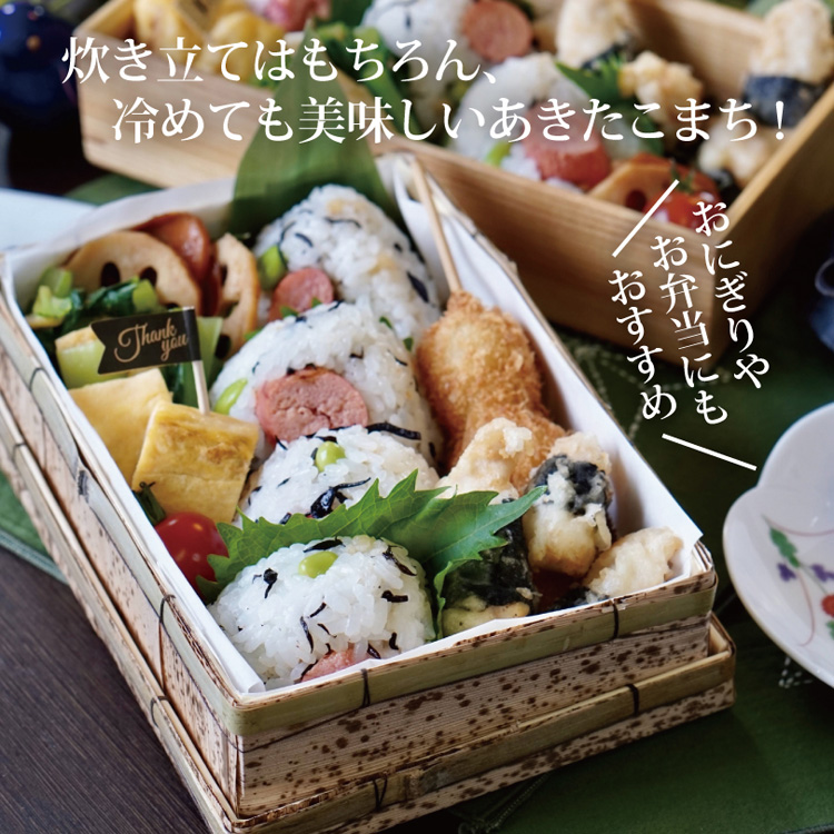 専用出品　mii様　5kg 令和8年産茨城県産あきたこまち ( 5kg×4セット )/ ミツハシライス