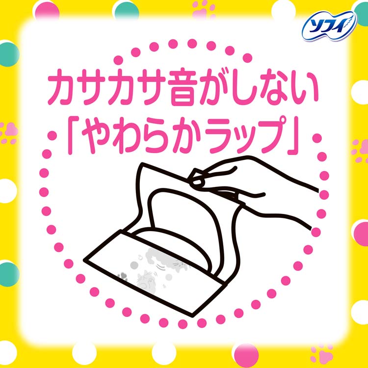 センターイン ふわふわタイプ ナプキン ふつうの日 羽なし 21cm ( 2個