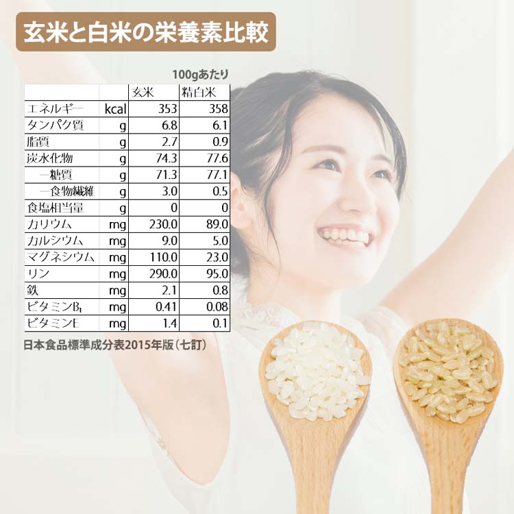 令和7年産 玄米新潟県産コシヒカリ ( 2kg×2セット )/ ミツハシライス