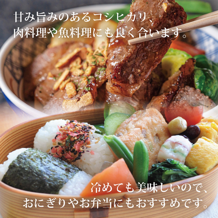 令和7年産 千葉県産コシヒカリ ( 5kg×4セット )/ ミツハシライス