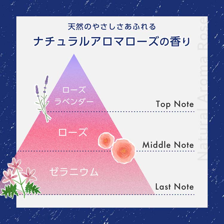 ロレッタ グリースゼリー ( 280g×6セット )/ ロレッタ(Loretta) : 爽快