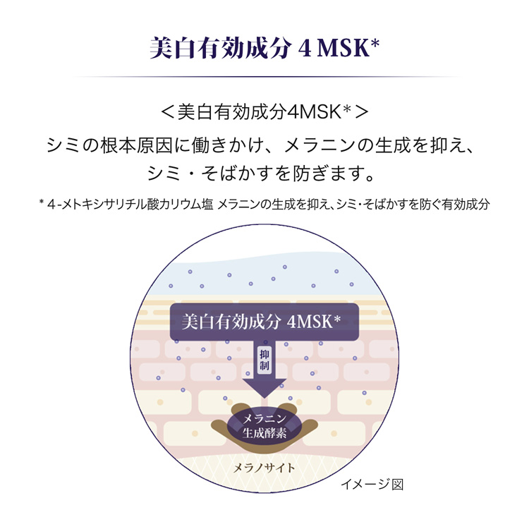 リバイタル ローション III a (レフィル) ( 150ml×2セット