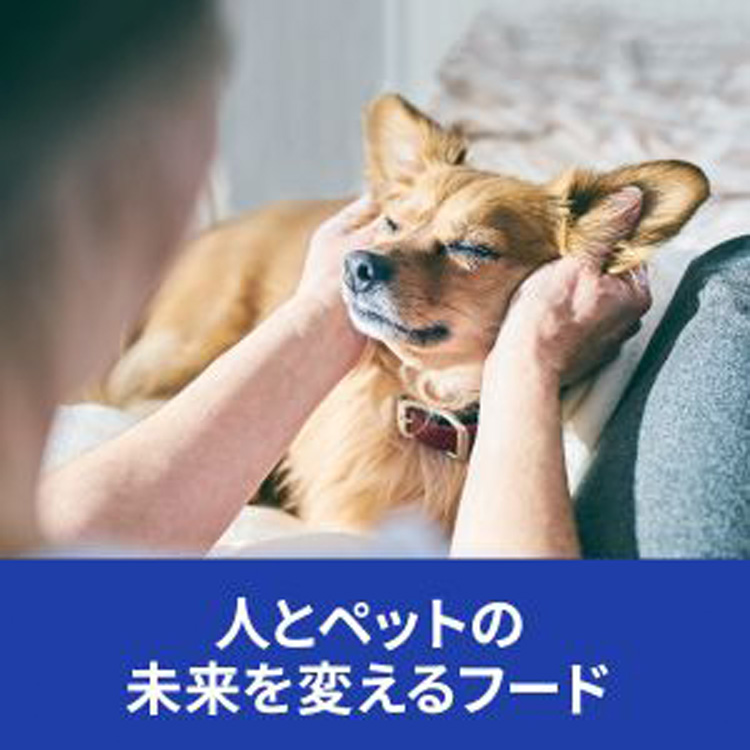 a/d チキン 回復期ケア 犬・猫用 特別療法食 ドッグフード ウェット