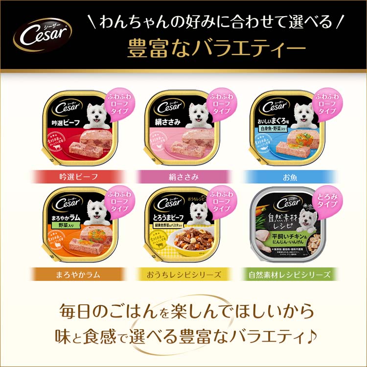 新品未開封　Cesar シーザー　まぐろ味ビーフ48缶セット シーザー 成犬用 おいしいまぐろ味 ささみ・野菜入り ドッグフード