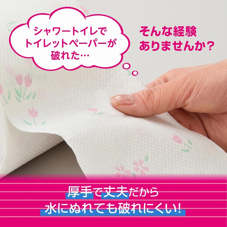 憧れの まとめ 大王製紙 吸水力が2倍のトイレットペーパー12ロール ×10セット fucoa.cl