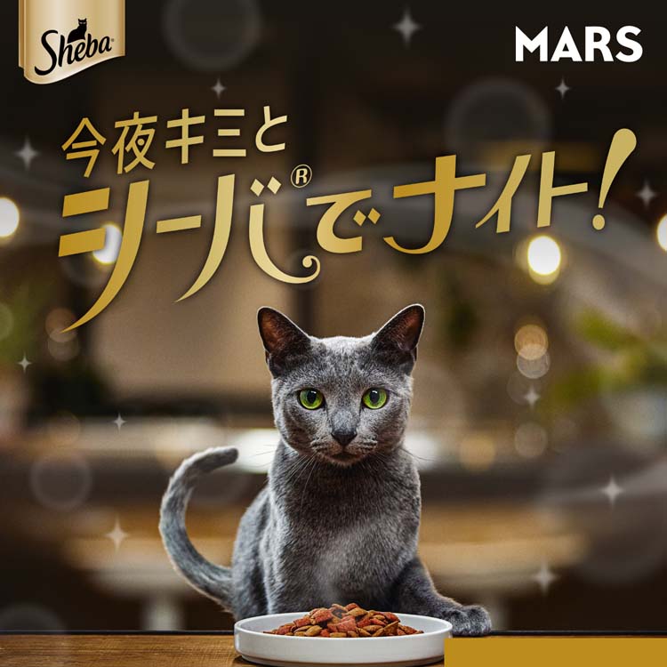 シーバ とろ〜り メルティ まぐろ＆かつお味セレクション 成猫用 ( 40