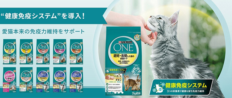 ピュリナワン キャット ドライ 健康マルチケア 15歳以上 チキン ( 2kg