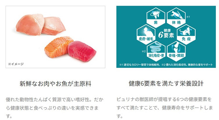 【6袋セット】ピュリナ ワン キャット ドライ グレインフリー1歳以上 チキン PURINA ピュリナワン キャット パウチ 健康寿命ケア 7歳以上