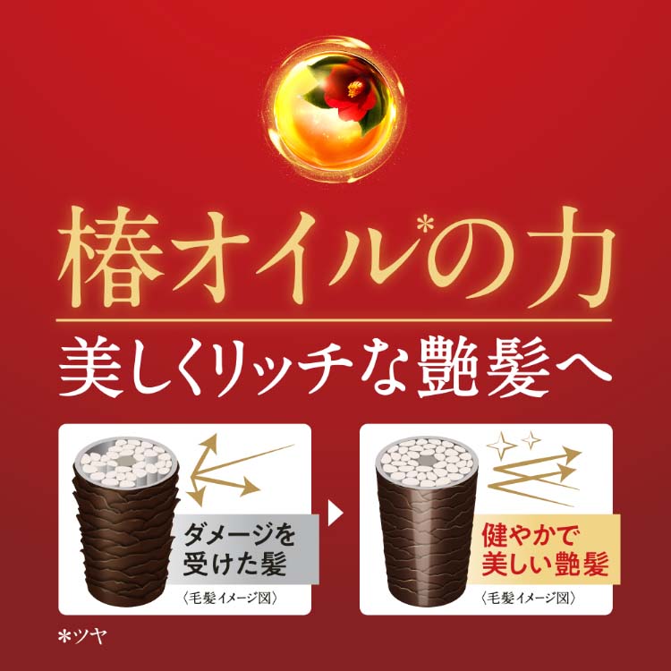 ツバキ(TSUBAKI) プレミアムボリューム＆リペア つめかえペア+