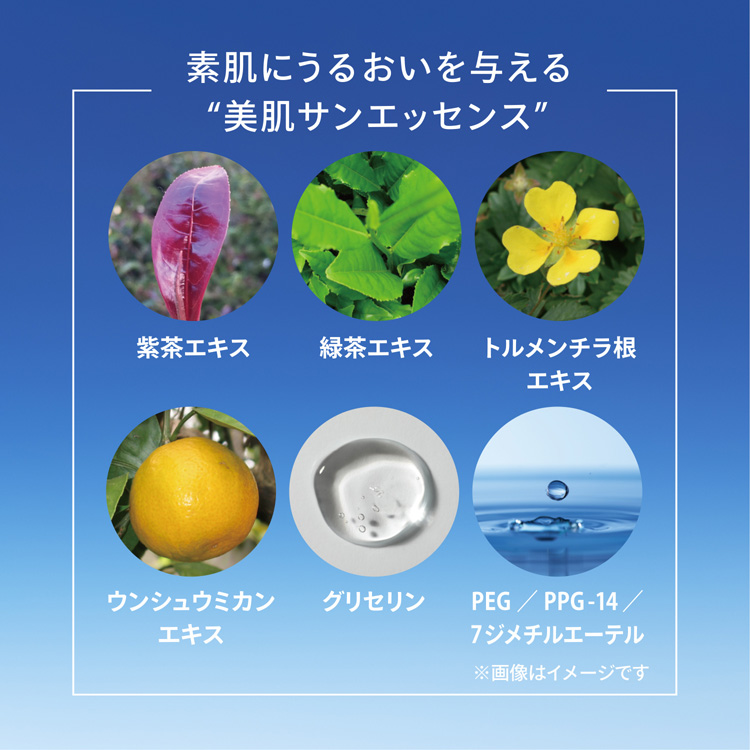 パーフェクトUV スキンケアミルク NA+デイセラムN小型付 ( 1セット