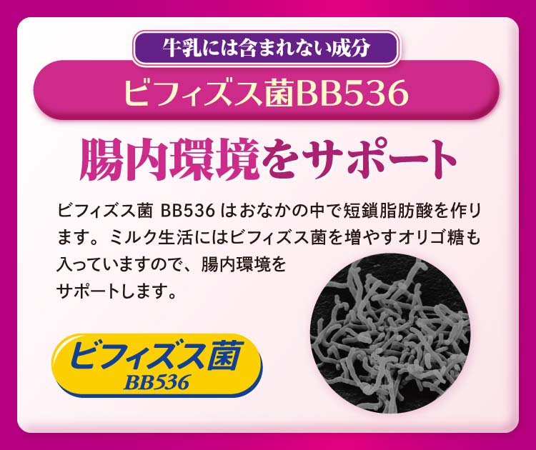 ミルク生活　スティック 箱 20g×10本 森永乳業株式会社(wf-605501-2)