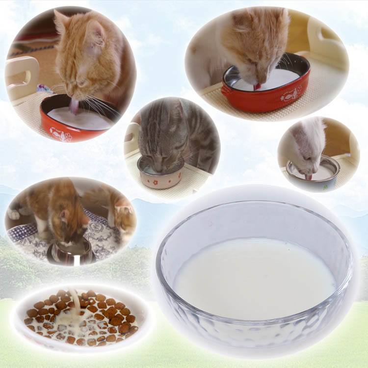 キャティーマン ねこちゃんの国産牛乳 1歳までの成長期用