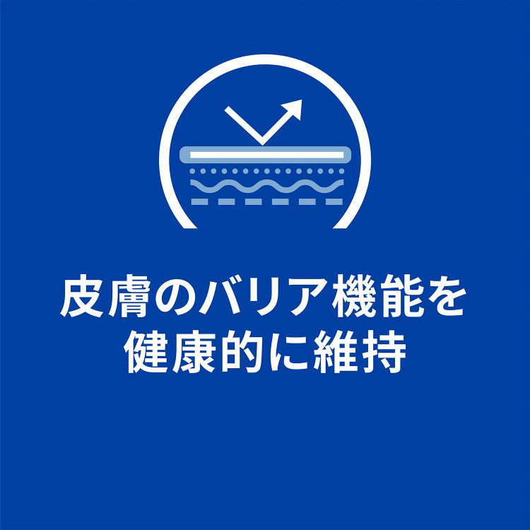 d／d ディーディー サーモン＆ポテト 犬用 療法食 ドッグフード ドライ