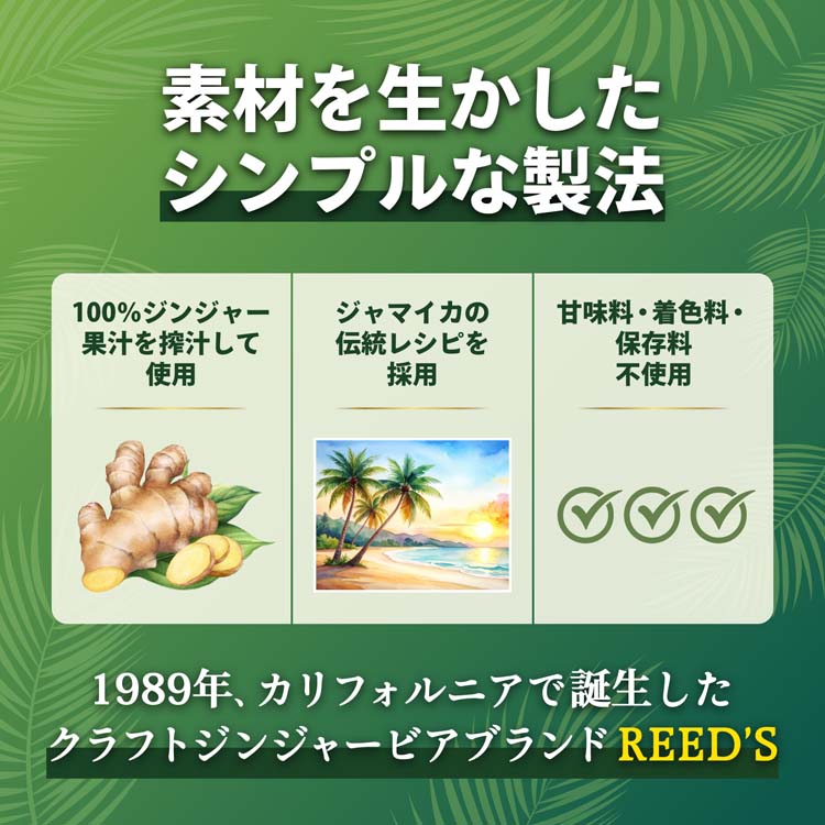 Reed's(リーズ) ジンジャービア ストロンゲスト 辛口 ノンアル ( 355ml