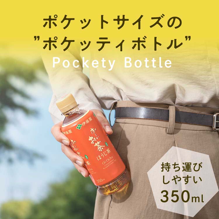 伊藤園 おーいお茶 ほうじ茶 ポケッティ ペットボトル ( 350ml×24本