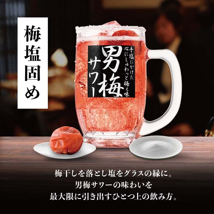 男梅 男梅｜ノーベル製菓株式会社