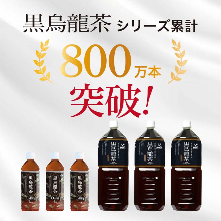 神戸居留地 黒烏龍茶 PET ( 500ml*24本入 )/ : 爽快ドリンク専門店