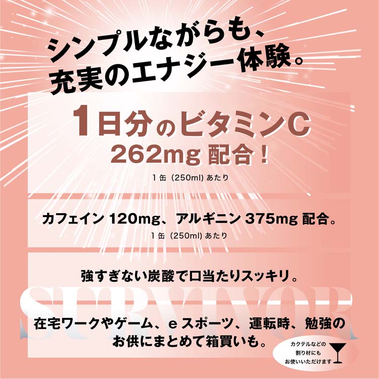 サバイバー エナジードリンク 缶 ( 250ml×30本 )/ 富永食品 : 爽快