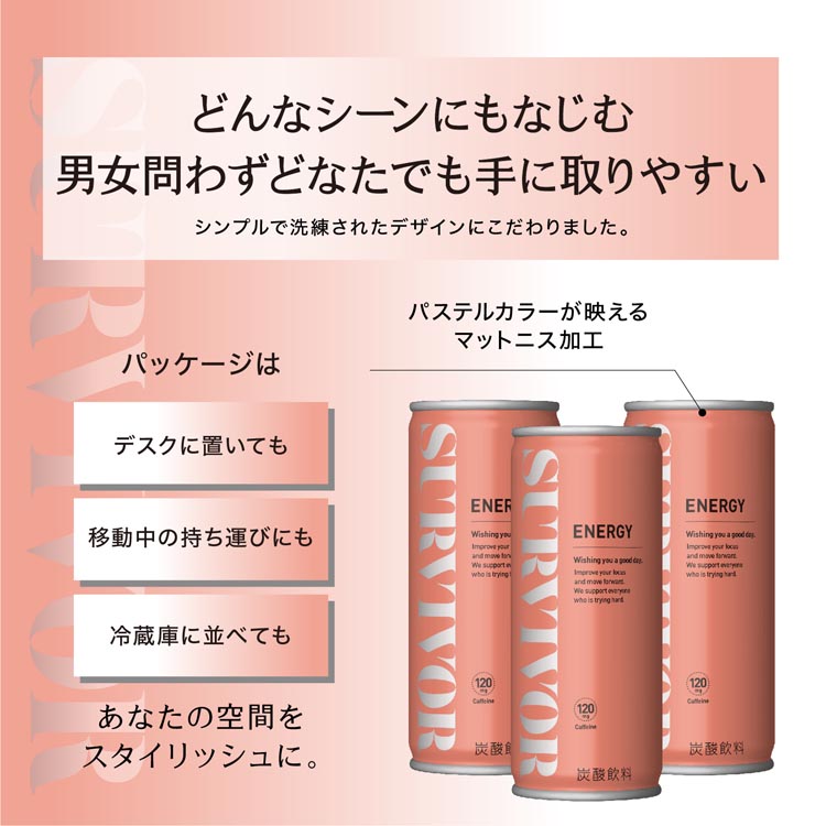 サバイバー エナジードリンク 缶 ( 250ml×30本 )/ 富永食品