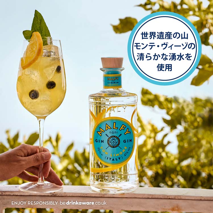【入手困難】マルフィ ジン 2本セット マルフィ ジン コン・リモーネ イタリア レモンフレーバー ギフト