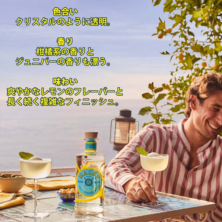 マルフィ ジン コン・リモーネ イタリア レモンフレーバー ギフト