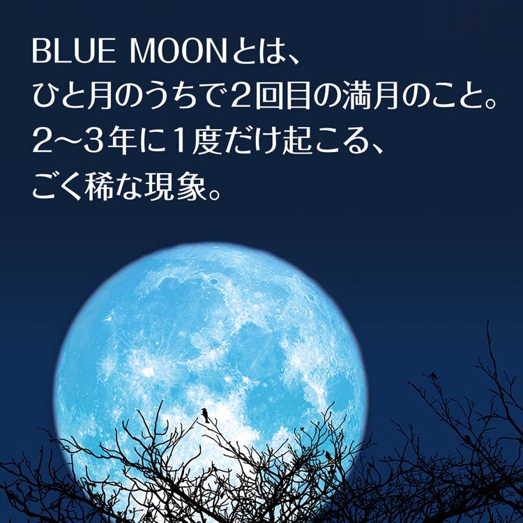BLUE MOON ブルームーン 缶 ( 330ml*24本入 ) : 爽快ドリンク専門店